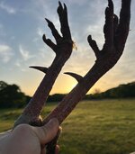 IMG_2180.jpeg
