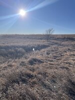 IMG_3769.jpeg