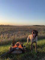 IMG_0722.jpeg