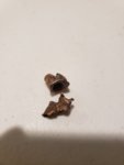 20191108_184452.jpg