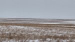 IMG_20191110_095514889_HDR.jpg