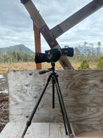 IMG_0342.jpeg