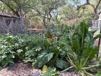 IMG_1002.jpeg