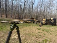 IMG_2264.jpeg