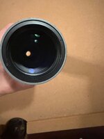 IMG_3037.jpeg