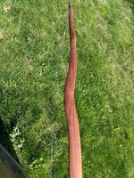 IMG_2957.jpeg