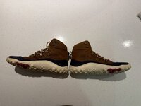 IMG_4264.jpeg