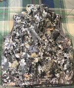 IMG_2689.jpeg