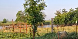 20260424_074804.jpg