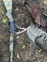 IMG_0269.jpeg