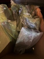 IMG_1758.jpeg