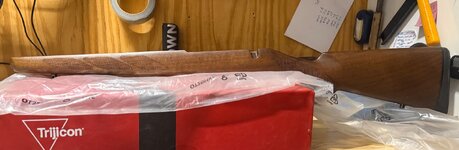 IMG_1759.jpeg