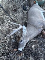 IMG_3375.jpeg