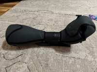 IMG_9145.jpeg