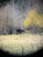 IMG_2879.jpeg