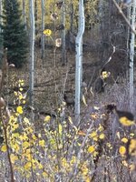 IMG_2866.jpeg
