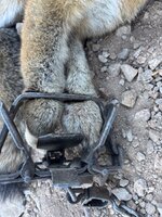 IMG_2421.jpeg