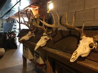 IMG_0616.jpeg