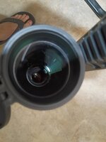 IMG_20260425_102115913.jpg