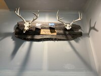 IMG_3093.jpeg
