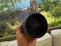 IMG_0878.jpeg