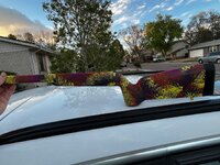 IMG_1204.jpeg