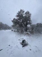 IMG_1180.jpeg