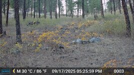 IMG_0844.jpeg