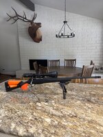 IMG_7945.jpeg