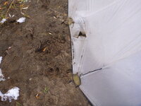IMG_2465.jpeg