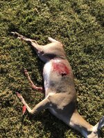 IMG_8443.jpeg