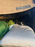 IMG_9116.jpeg
