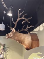 IMG_4103.jpeg