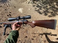 IMG_2053.jpeg
