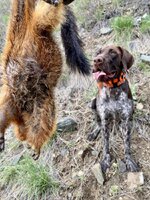 IMG_2507.jpeg