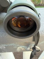 IMG_0052.jpeg