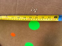 IMG_1110.jpeg