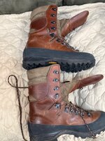 IMG_7983.jpeg