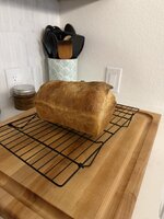 IMG_1105.jpeg
