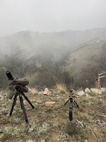 IMG_5208.jpeg