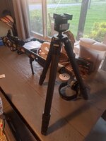 IMG_3611.jpeg