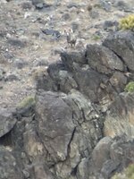 IMG_5695.jpeg