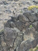 IMG_5696.jpeg
