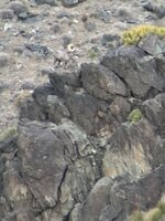 IMG_5698.jpeg