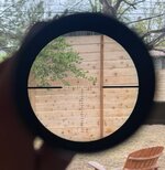 IMG_9732.jpeg