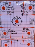 IMG_0916.jpeg