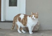 IMG_1568.jpeg