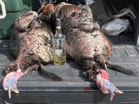 IMG_1082.jpeg