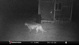 IMG_8718.jpeg