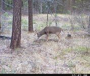 IMG_3579.jpeg